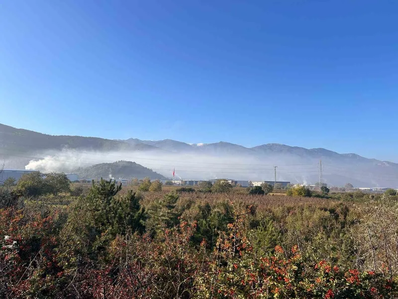 Kestel ve Gürsu’da çevre faciası: 