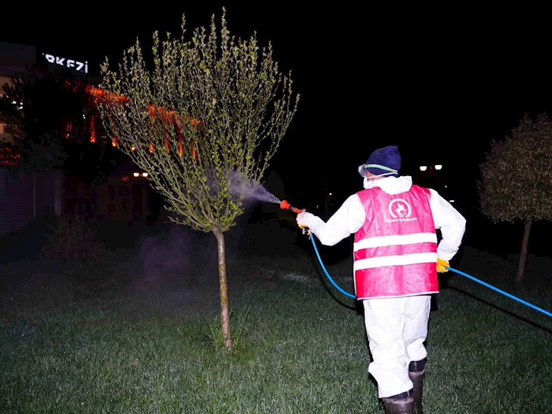 Bahar ilaçlaması başladı
