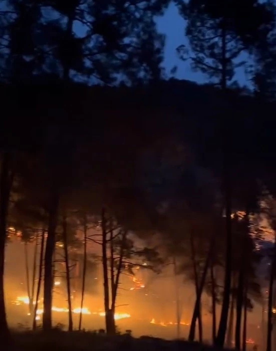 Tarsus’ta orman yangını
