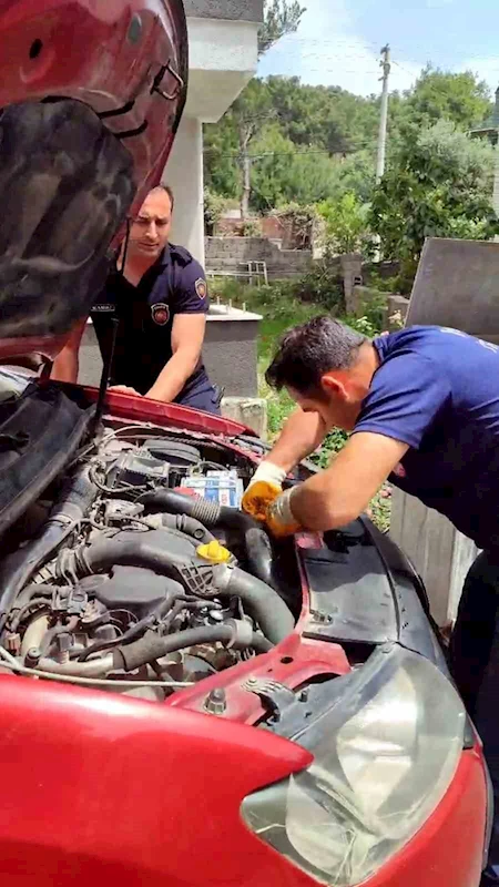 Araç motorundan çıkan sürpriz yüzleri gülümsetti
