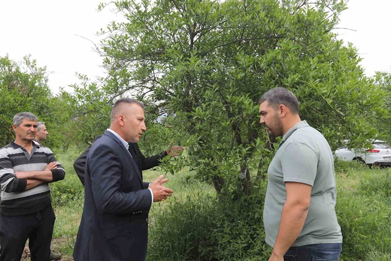 Zirai donun yaraları Büyükşehir’in desteğiyle sarıldı
