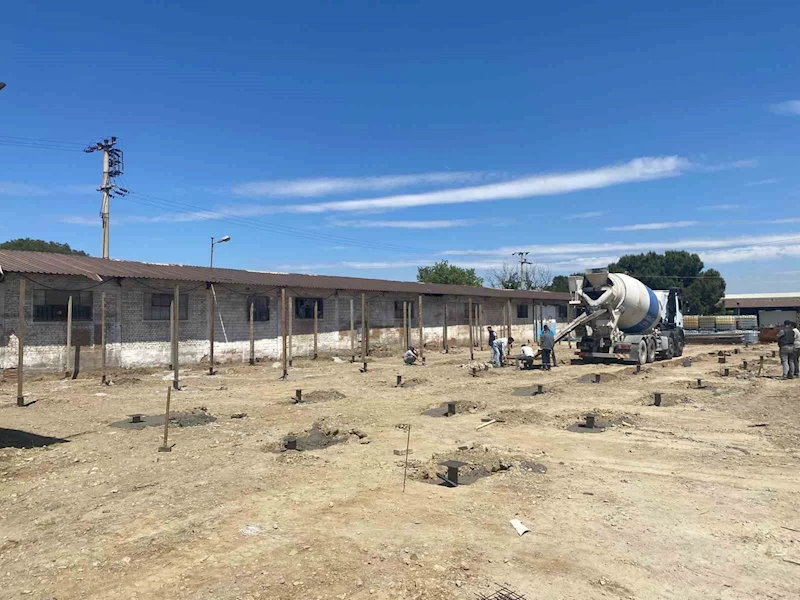 Turgutlu Belediyesinden sahipsiz can dostların yaşam şartlarını iyileştirecek çalışma
