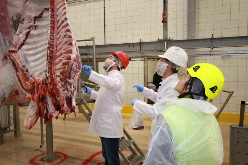 Kurban kesim başvuruları 15 Mayıs’ta başlıyor
