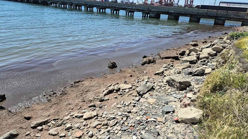 Marmara Denizi’nin Tekirdağ kıyılarında kızıl yosun birikintisi oluştu
