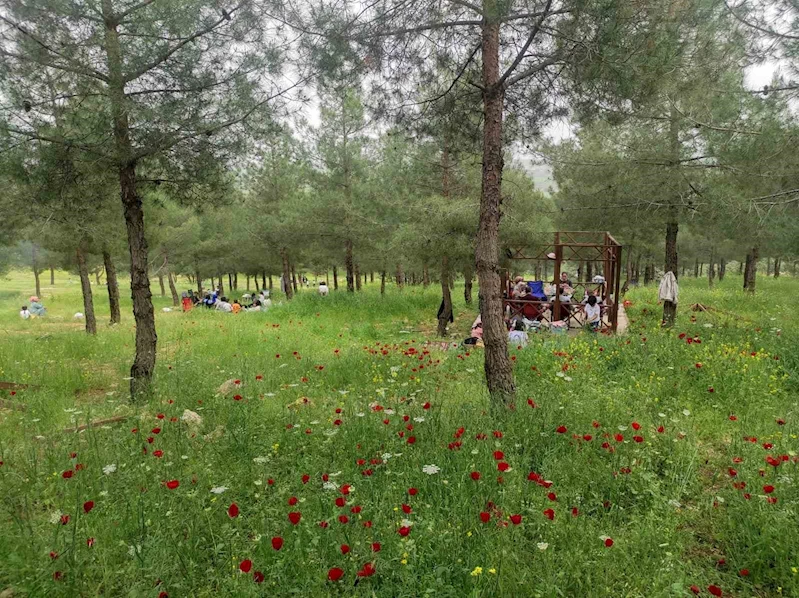 Batman’daki Malabadi Tabiat Parkı’na yoğun ilgi
