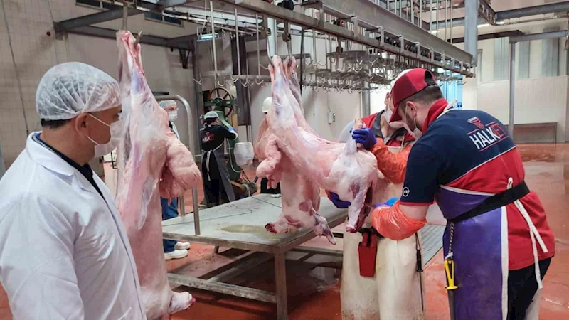 Çorum Belediyesi’nin online kurban kesim randevu sistemi 9 Mayıs’ta açılıyor
