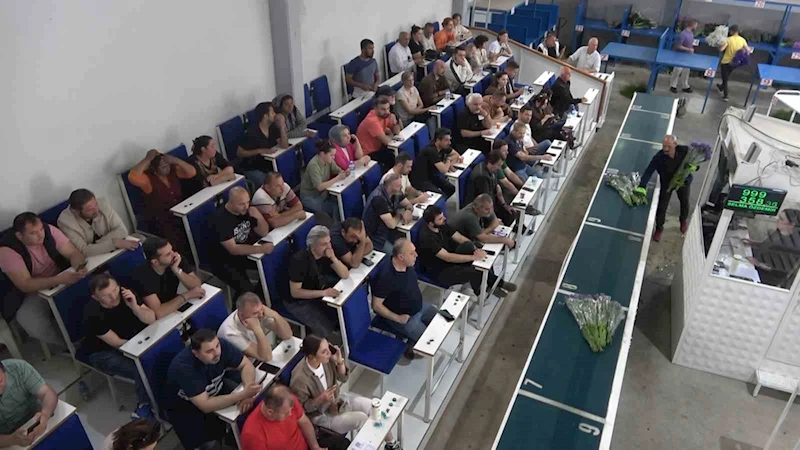 Yalova’daki çiçek mezatlarında Anneler Günü hareketliliği
