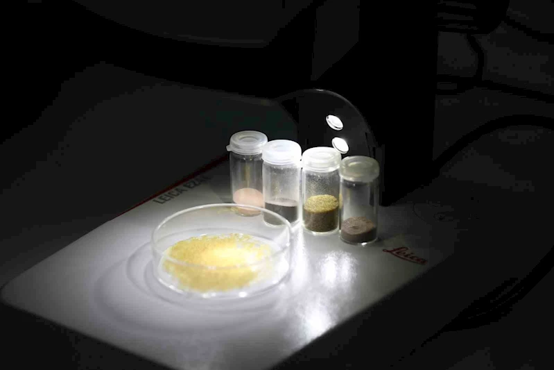 BTÜ’nün projesi hayvansal kaynaklara alternatif kaynak olacak
