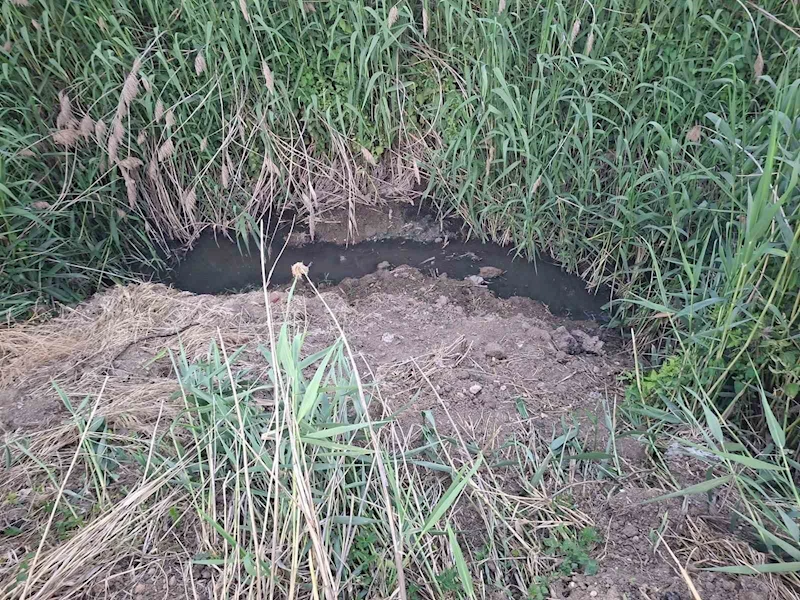 Dereye akan lağım suyu, mahalleliyi nefes alamaz hale getirdi
