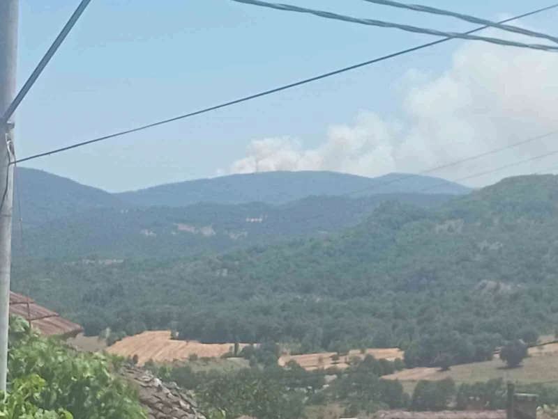 Bursa’da orman yangını: Havadan ve karadan müdahale ediliyor
